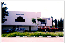 C20